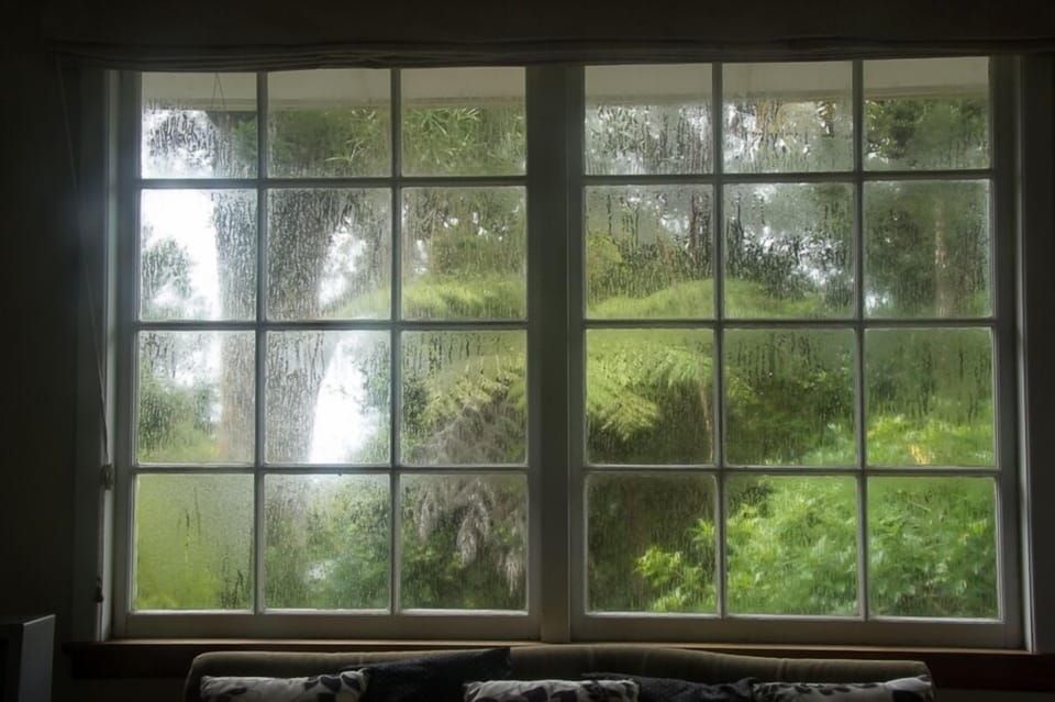 A rainy day - looking from inside the cottage
