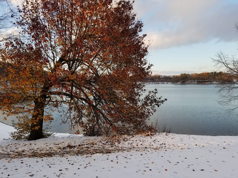 Jamaica Pond -remnants of fall with an early winter snow
