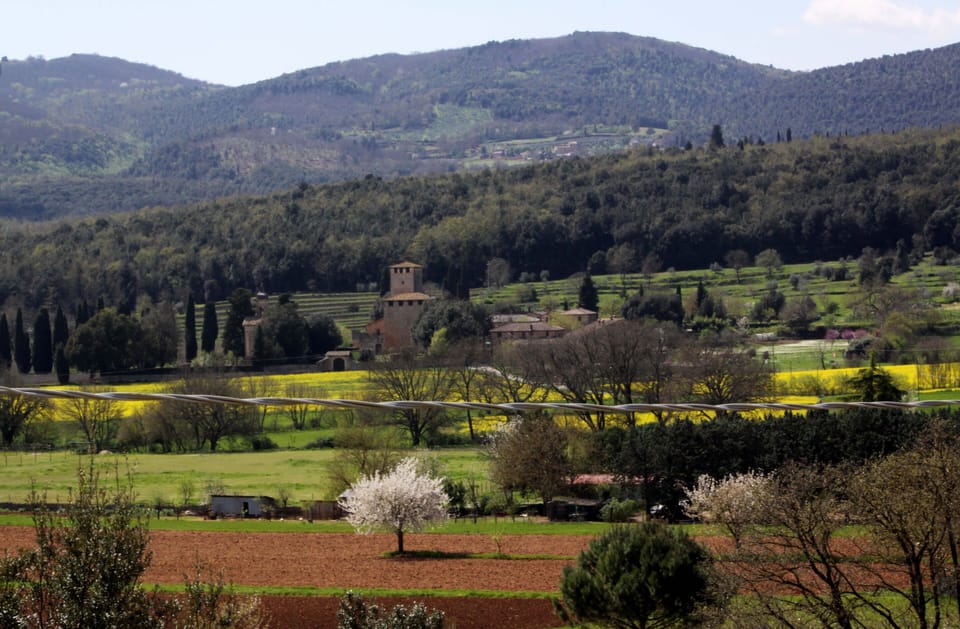 View from Casabella