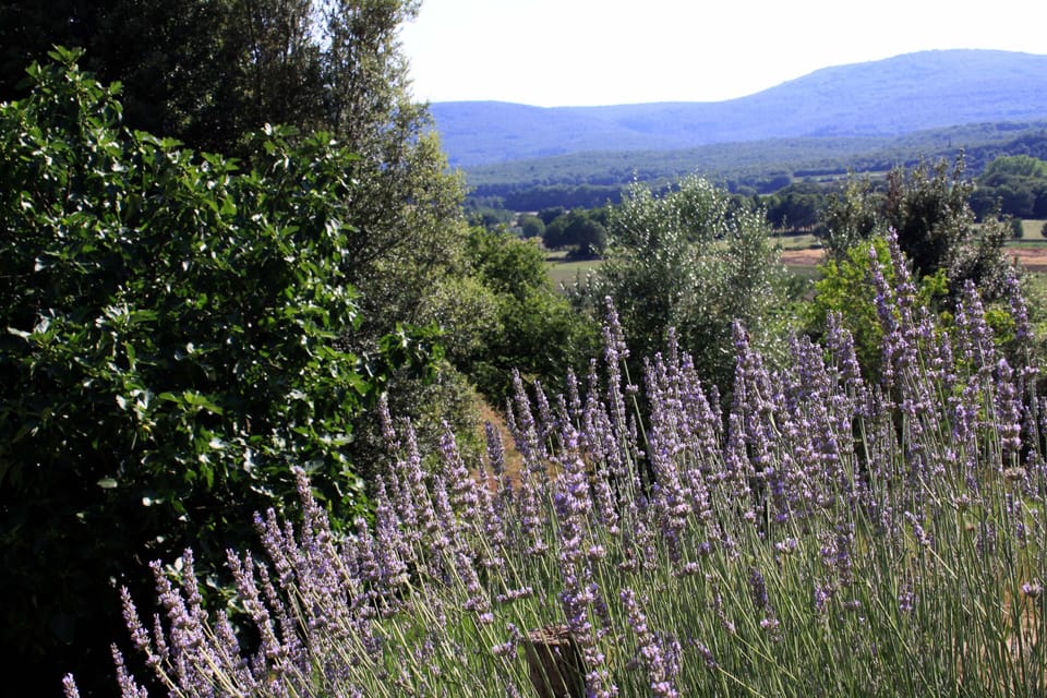 Views from Casabella