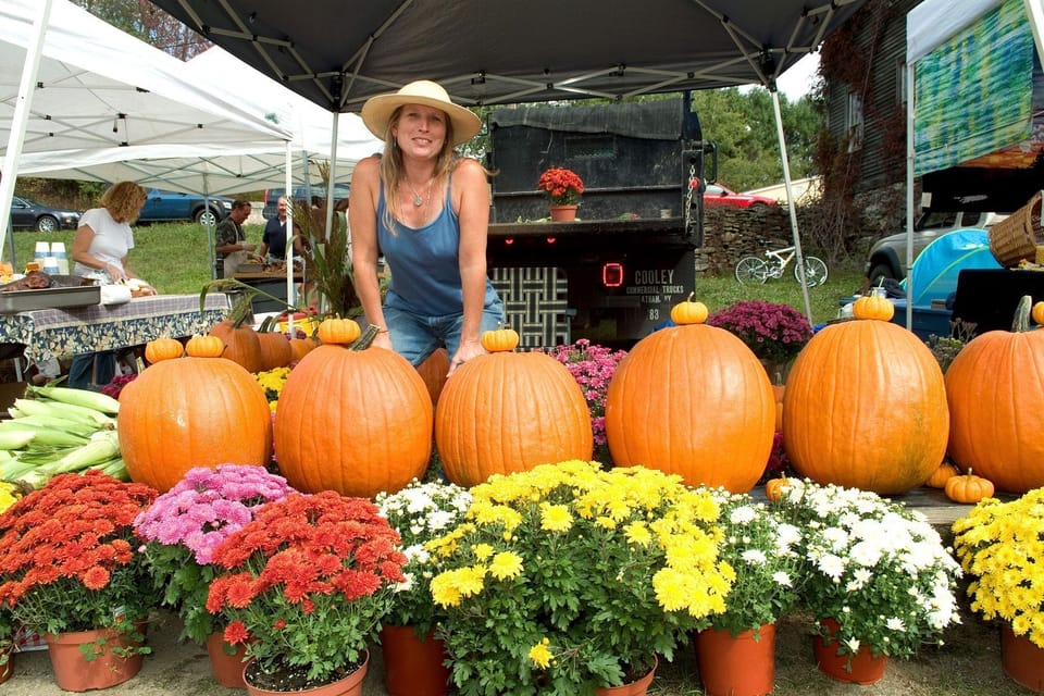 West River Farmer's Market, Saturday mornings. 