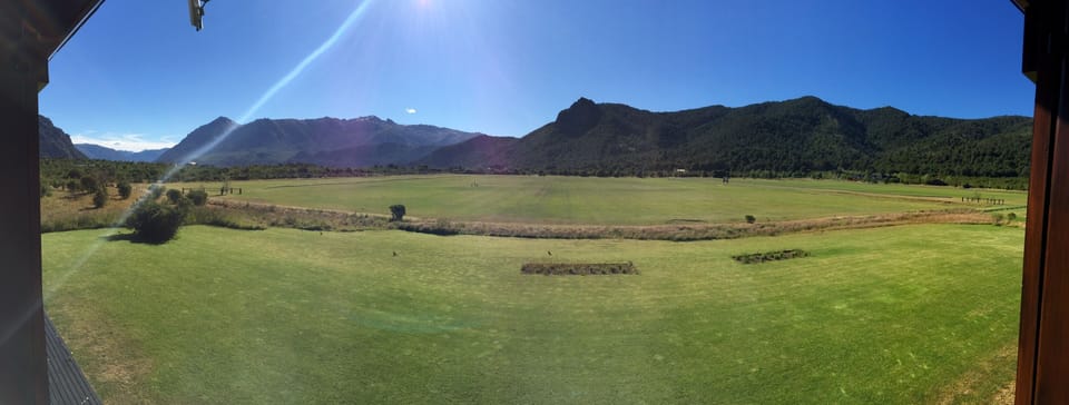 Summer view from living room