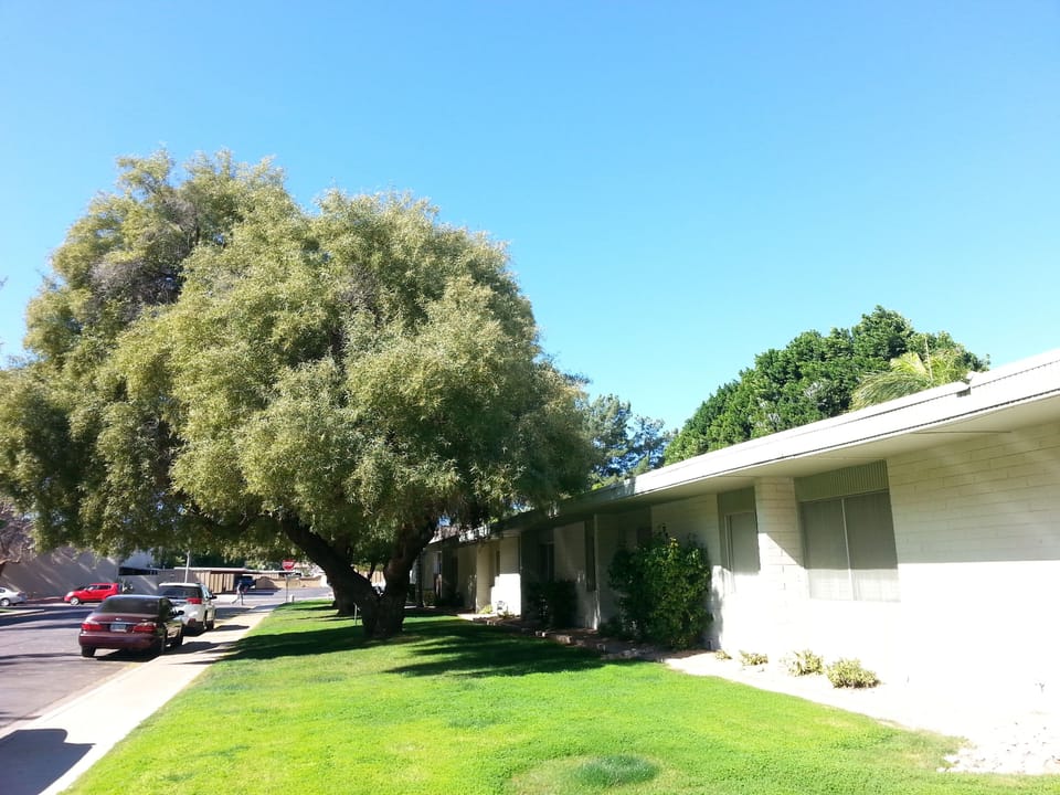 Street View in front of complex
