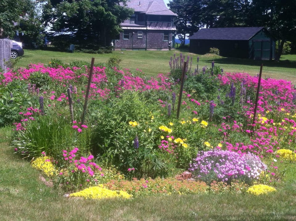Wild roses and vibrant flower beds surround the property
