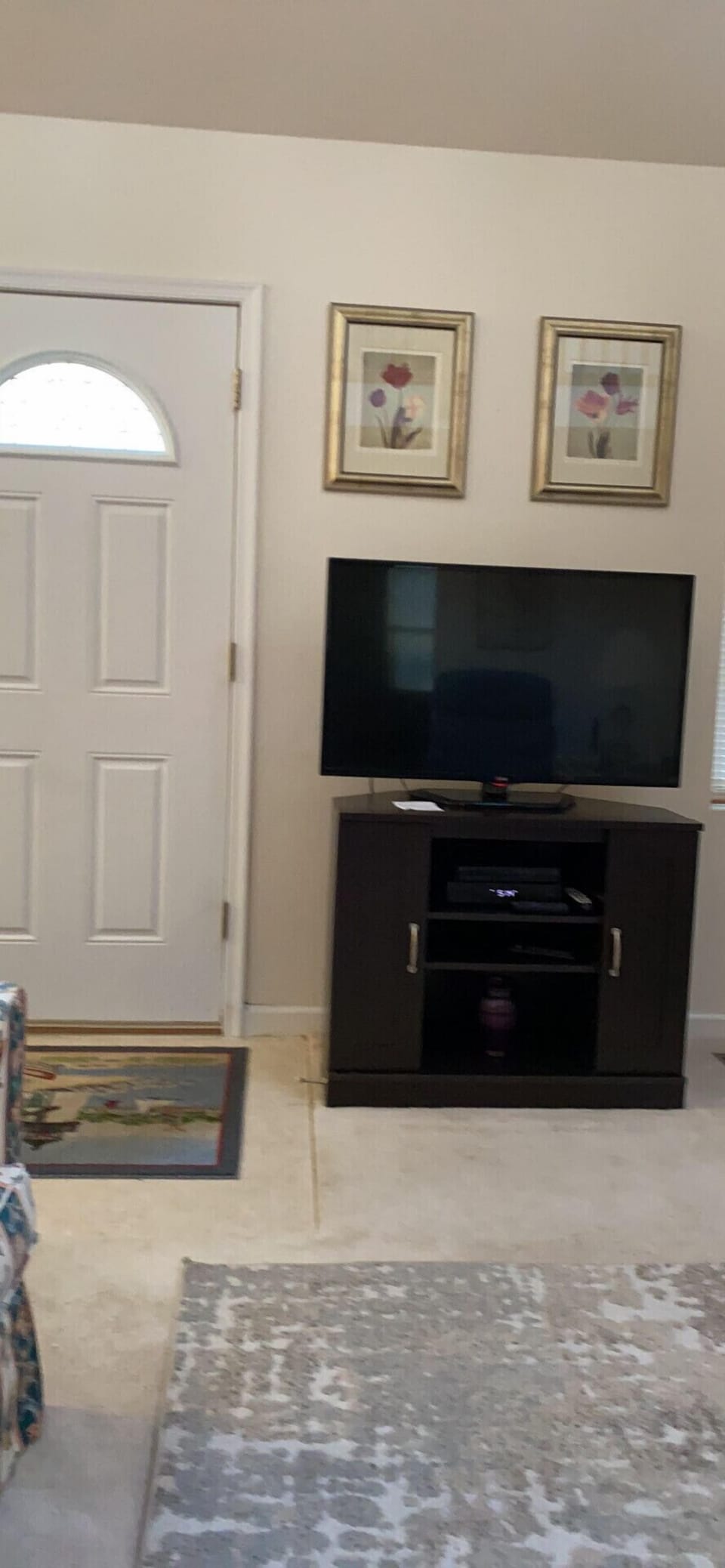 Tv in living room and front door