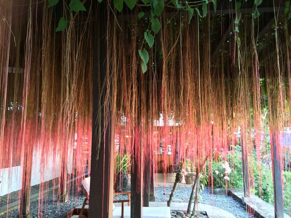 Angel's Hair creates a feel good vibe on our Pergola.
