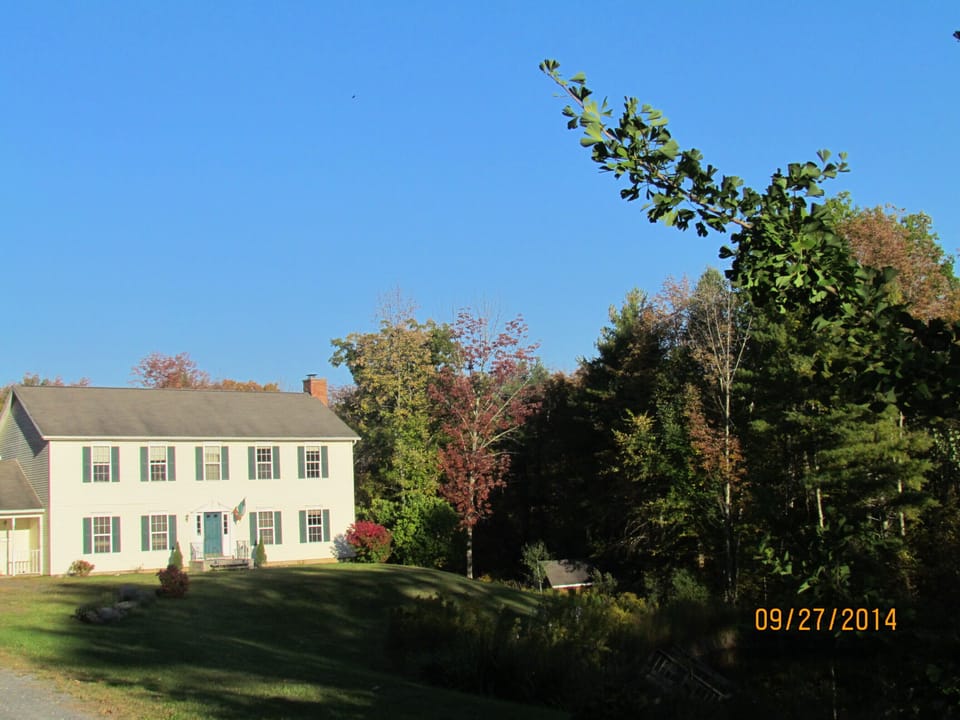 Front of house - in beautiful evening sun,  surrounded by woodland.