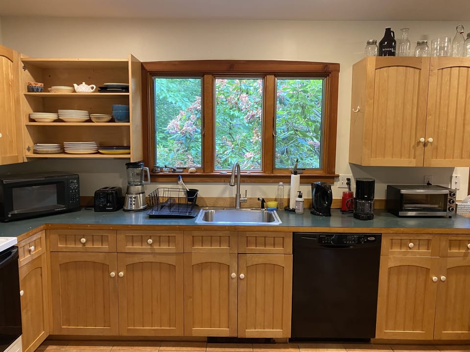 Kitchen looks out on back lawn and a lovely rhododendron