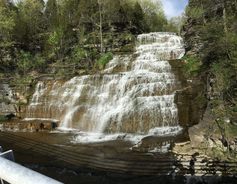 Hector falls is right up the drive.