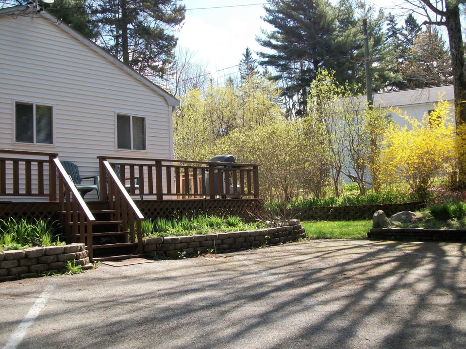 parking in front of house - trees are blooming!