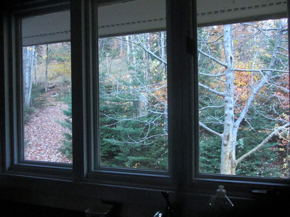 Autumn kitchen window view to direct ski trail access on left