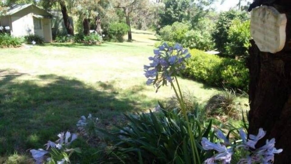 Gardens