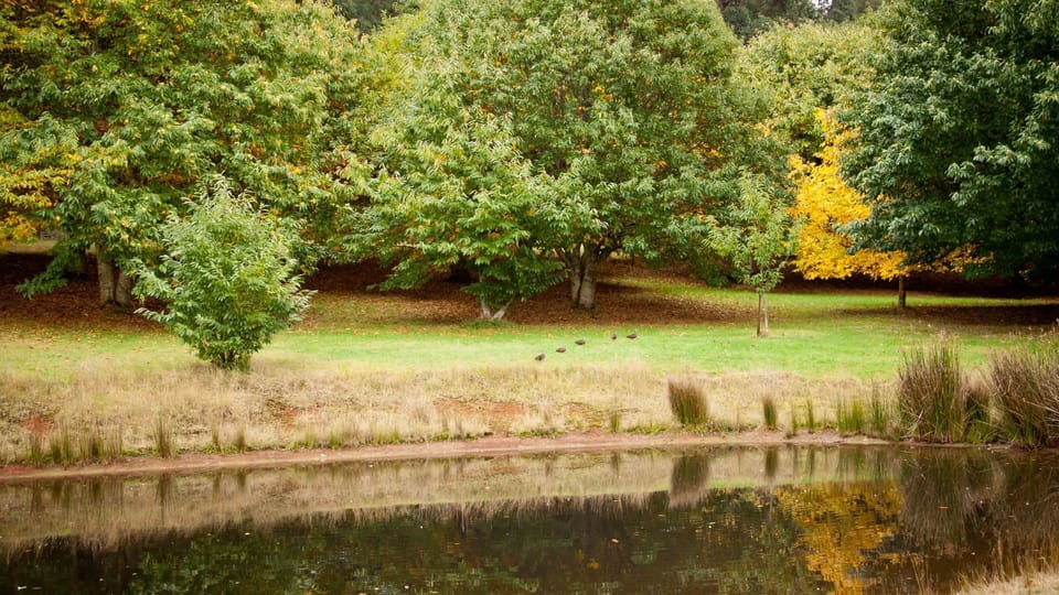 Dam on property