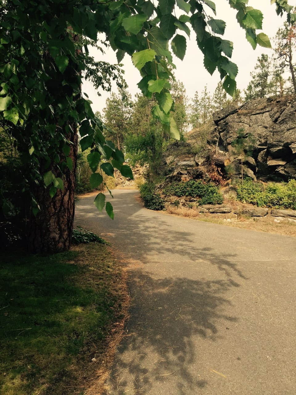 a beautifully, forested entrance