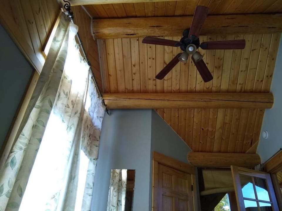 View Looking Up From Bed! (We have high ceilings!)