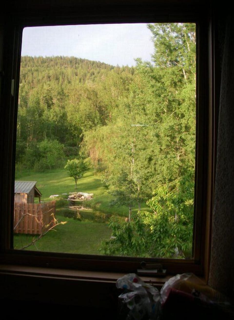 View from third floor bathroom shower in Summer overlooking  back yard