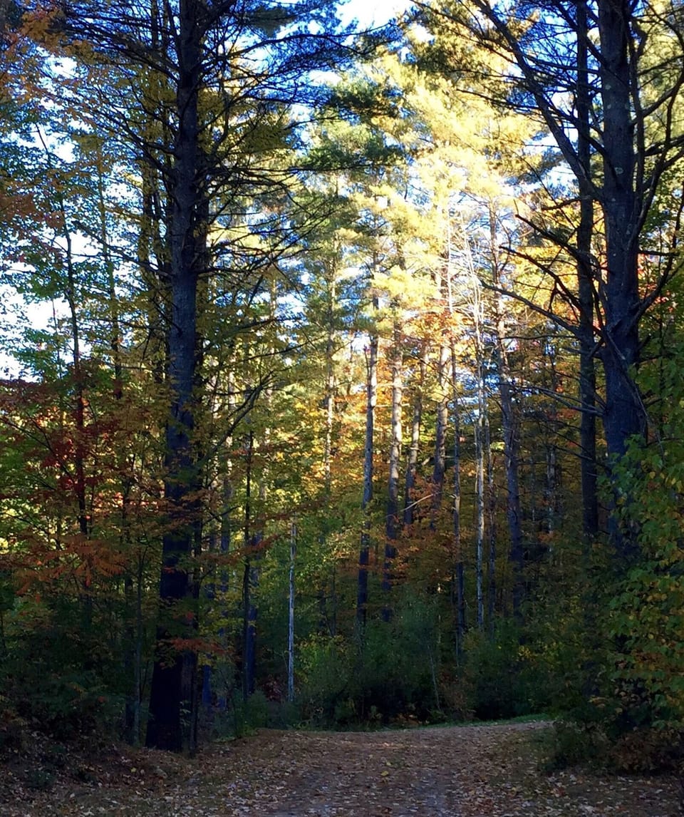 Local dirt roads - easy on the eyes, not always easy on the car suspension :-)