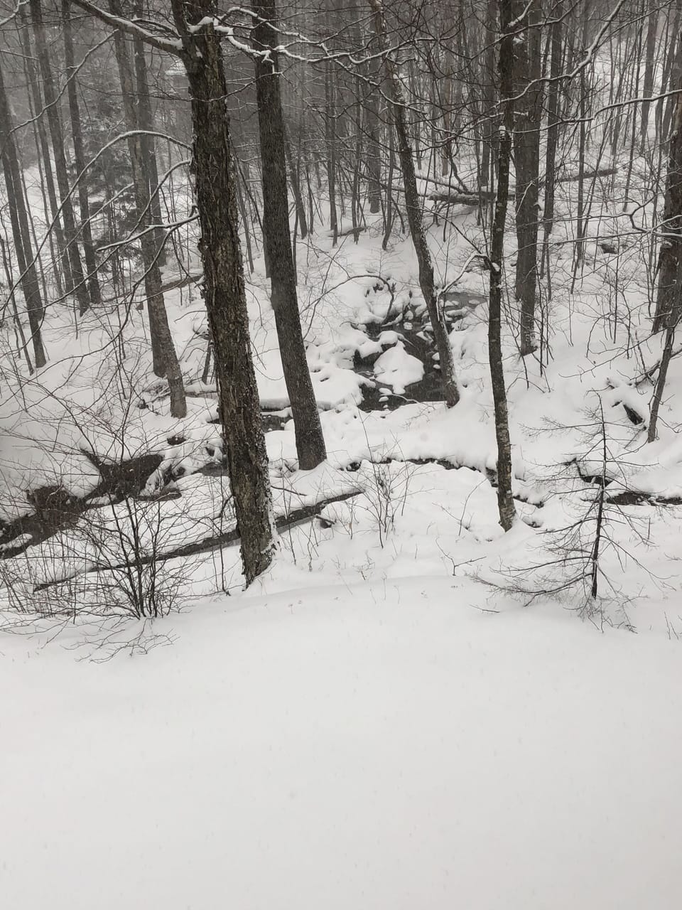 Snow and ski sports