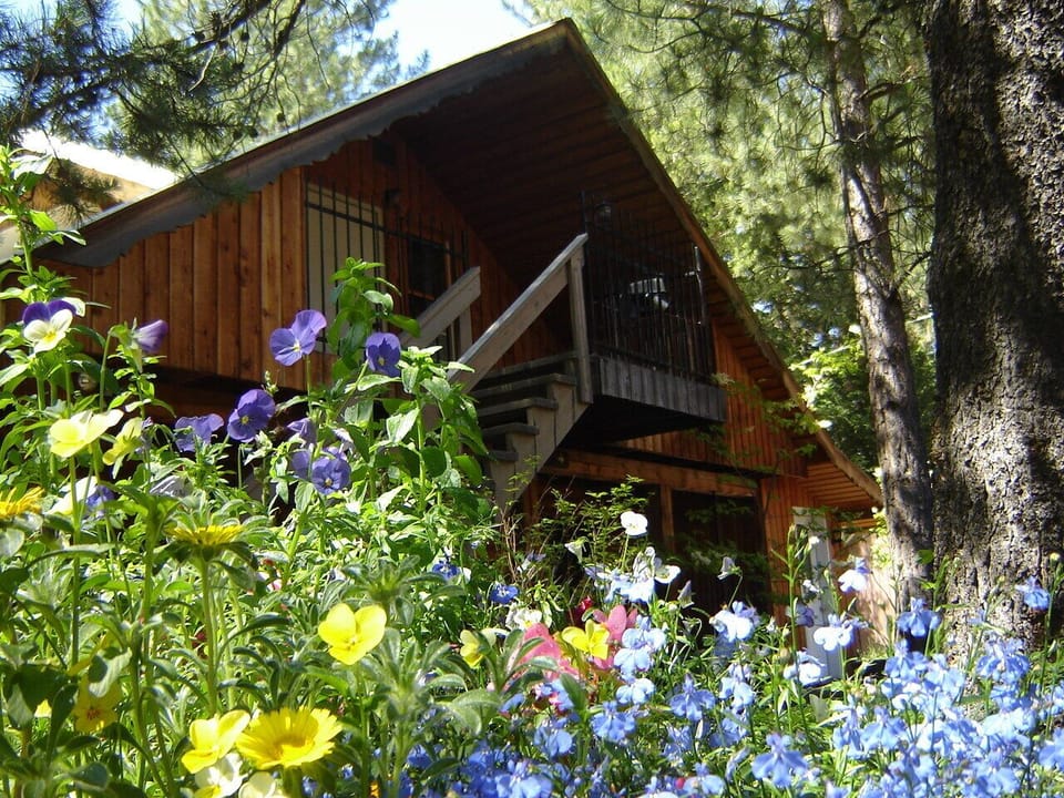 Martins Vacation Rental