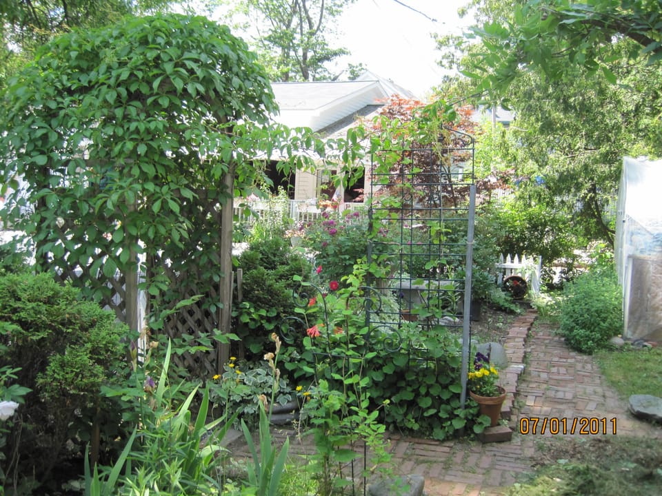 Luscious garden