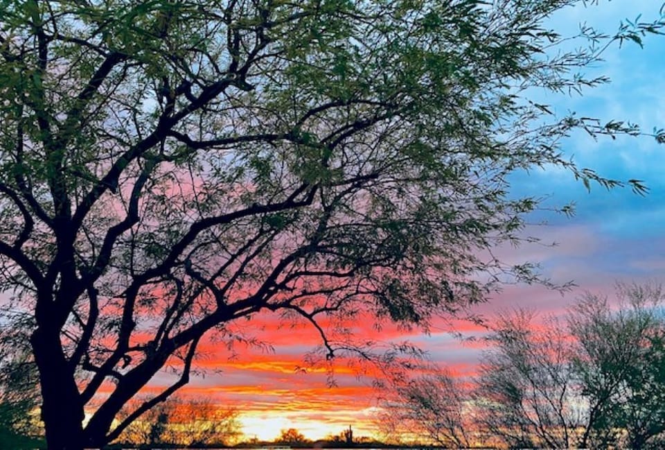 Enjoy spectacular sunsets from the backyard