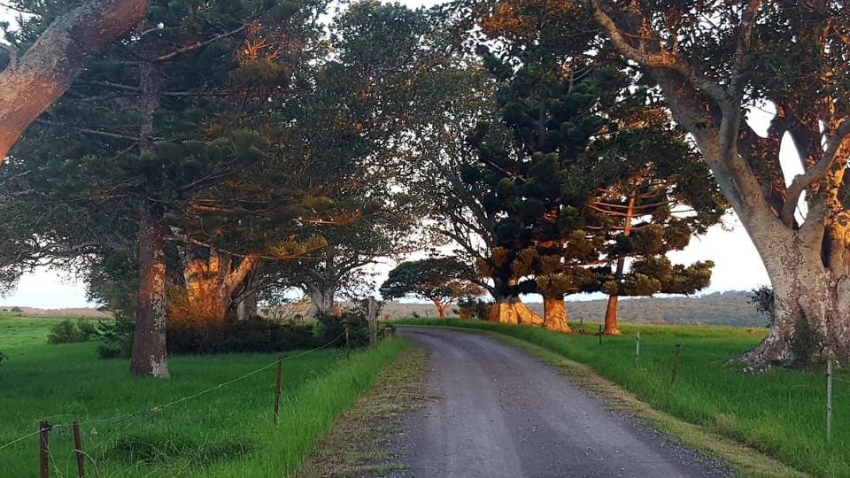 Stony Hill Lane
