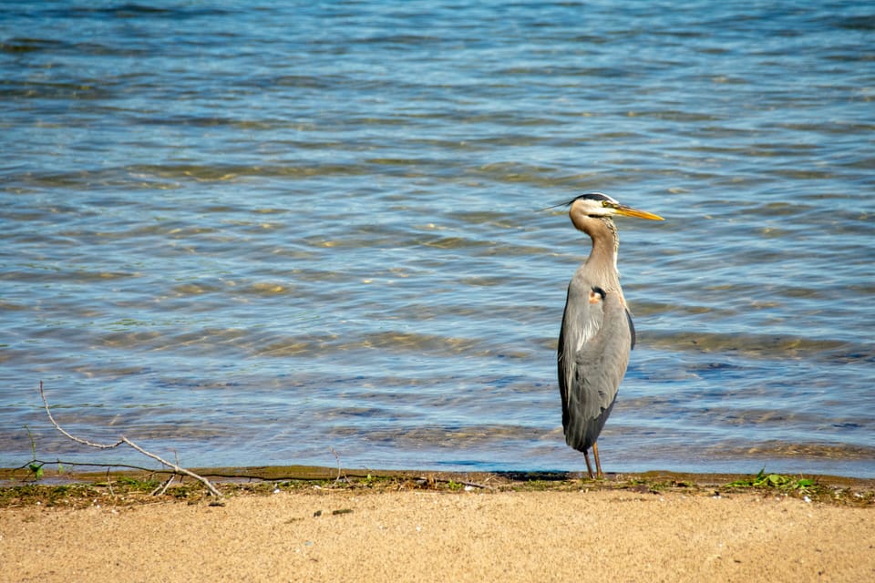 Enjoy the wildlife!