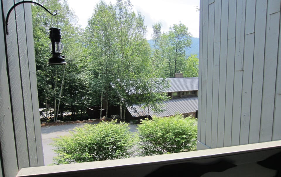 View from downstairs deck

