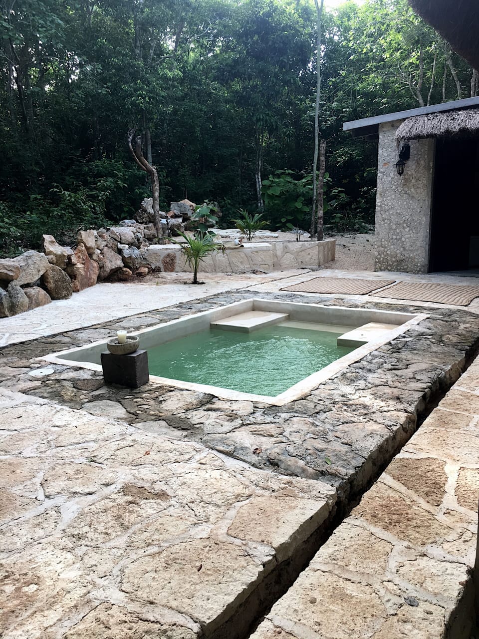 Cenote water dipping pool