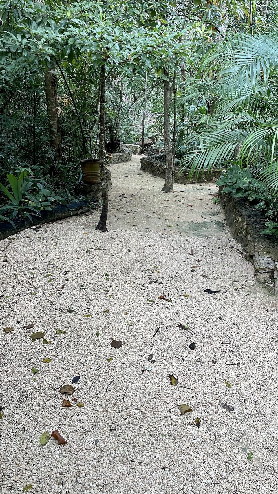 View. Garden path from master bedroom. 