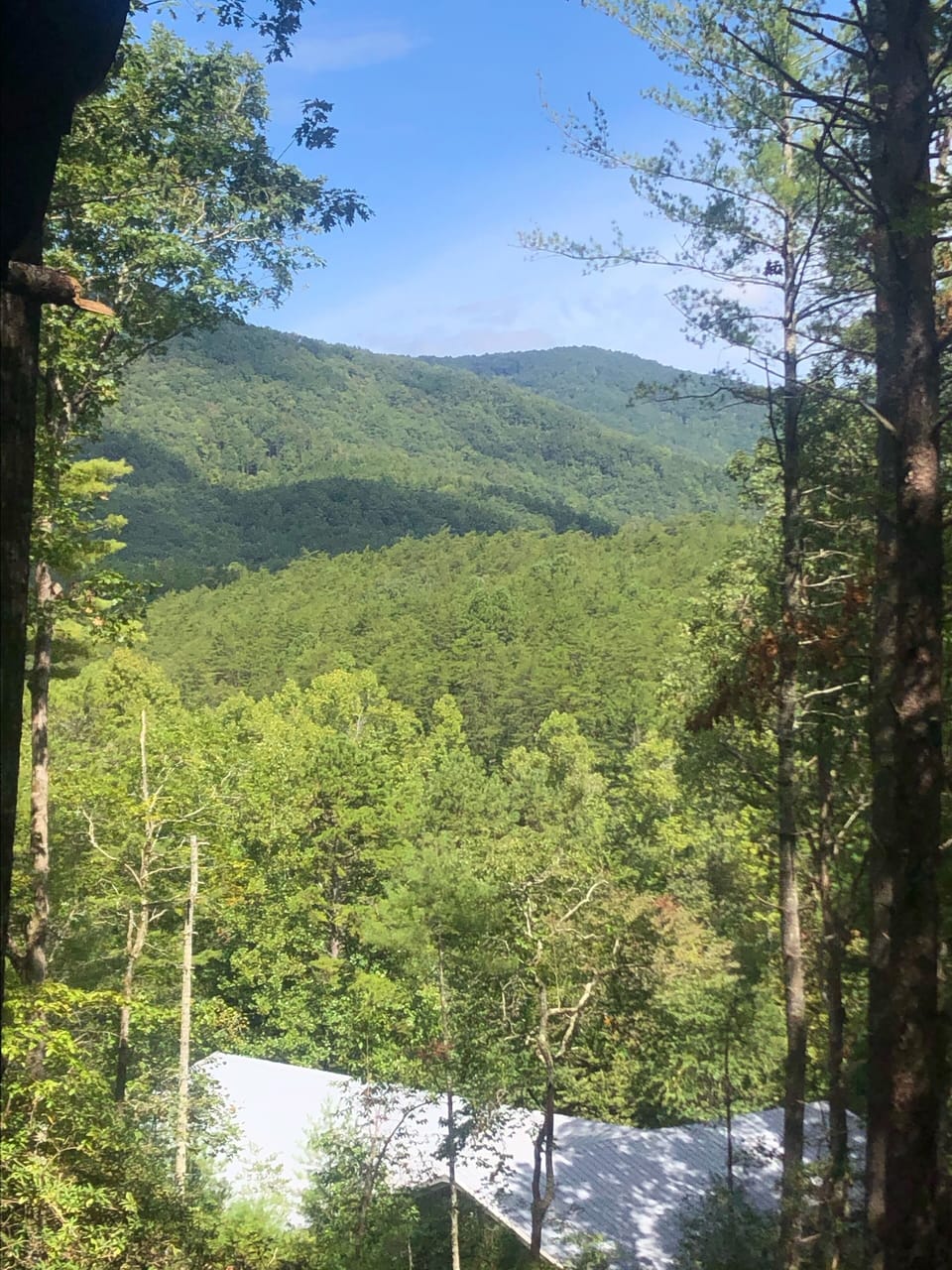 View from property