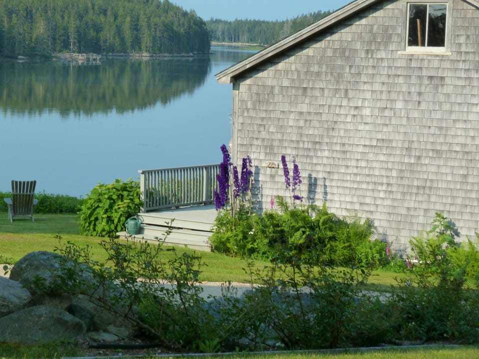 cottage from main house side..all windows face the water and the woods
