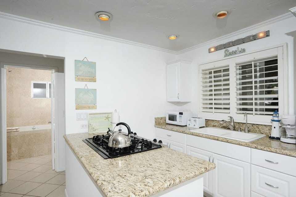 Granite counters & stainless steel appliances
