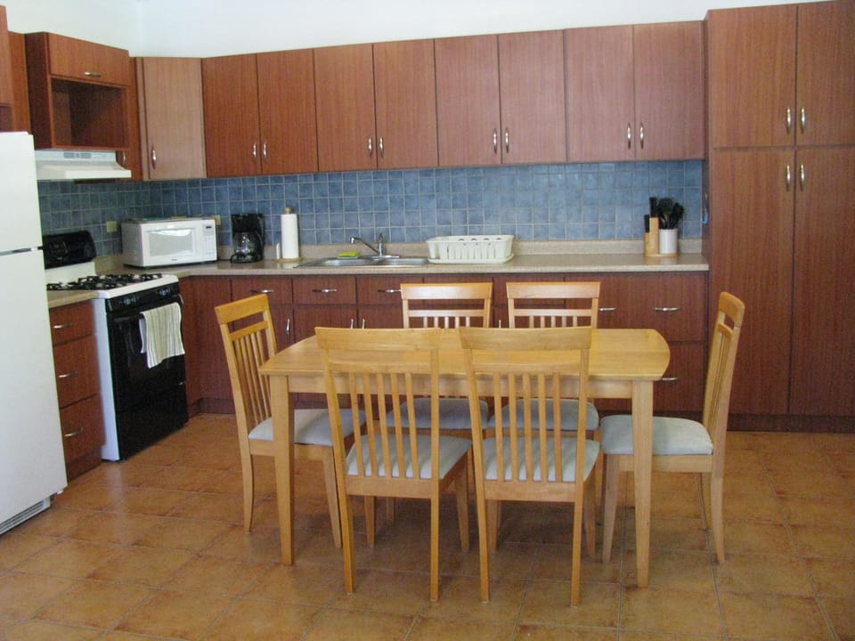 Downstairs kitchen has everything you need