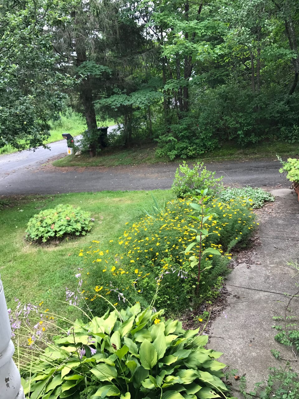 Driveway
