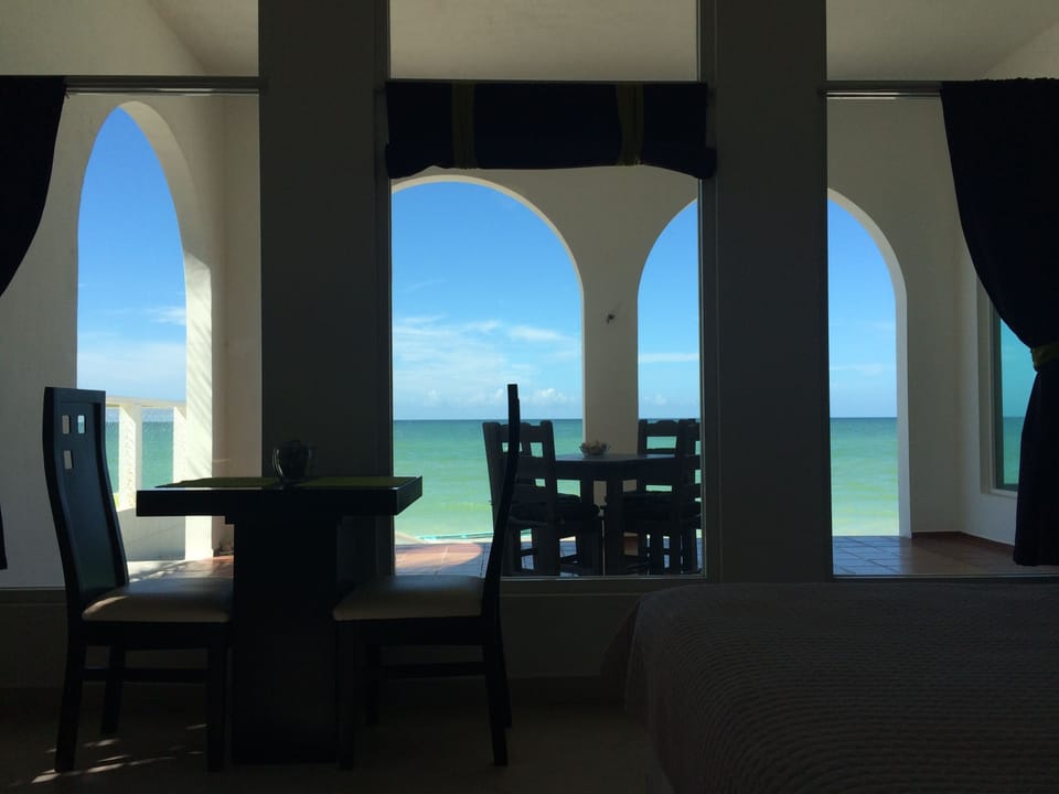 The view from your studio!