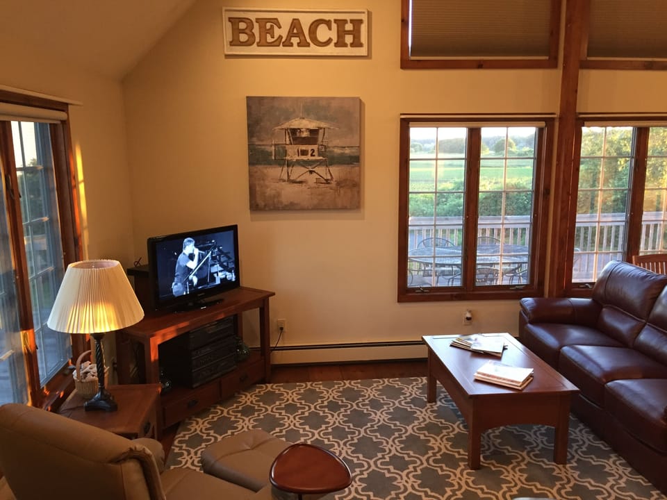 Smart TV, DVD player, books, video library