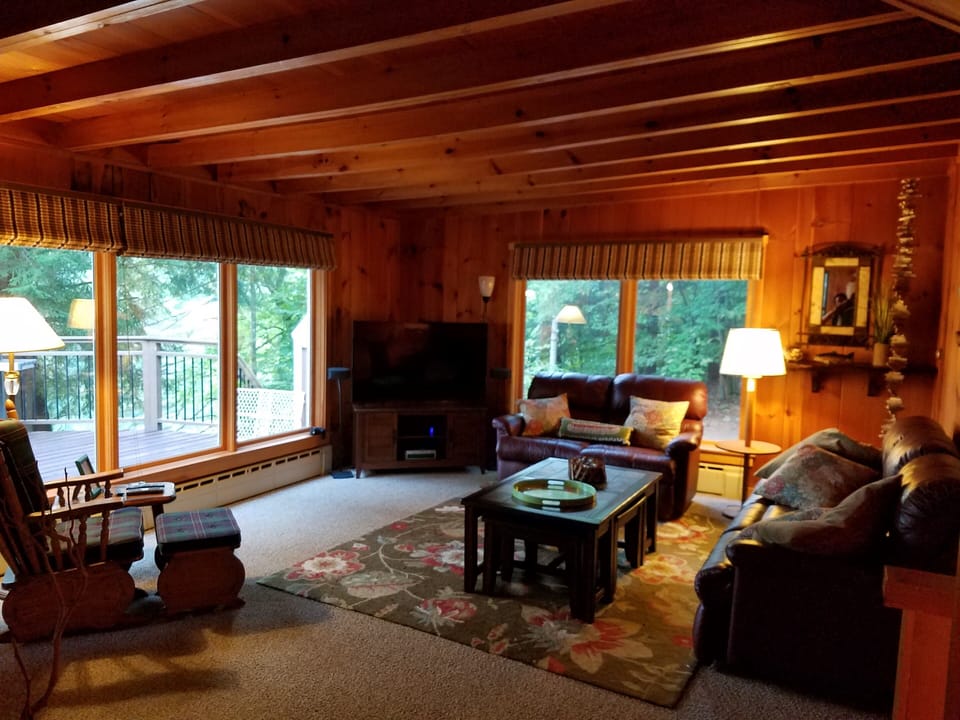 Smart TV, fireplace, DVD player, books
