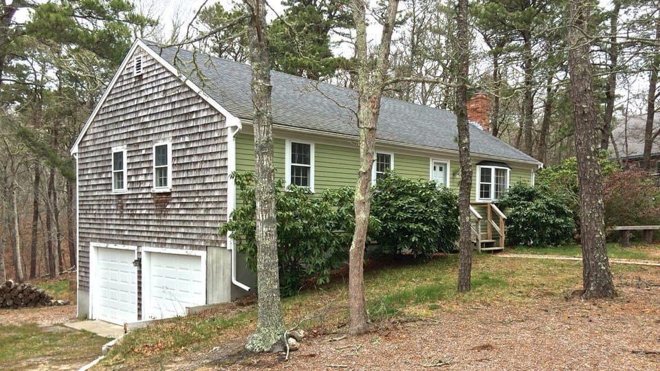Wooded front and back yard