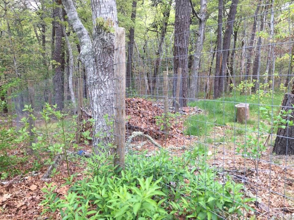 The dog fence is 4 ft high and the fence openings are 2 inches x 4 inches.