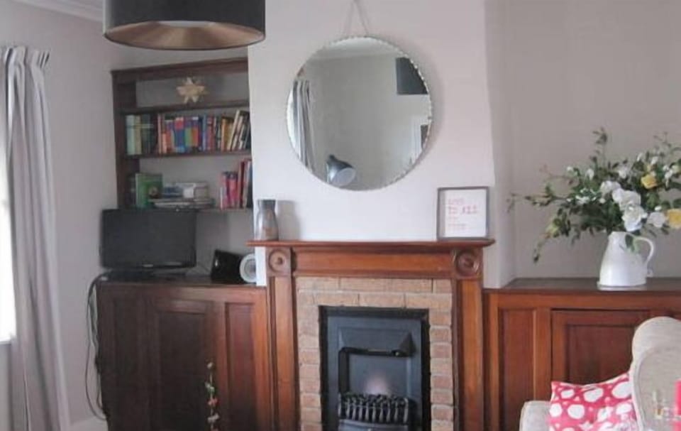 TV, fireplace, DVD player, books