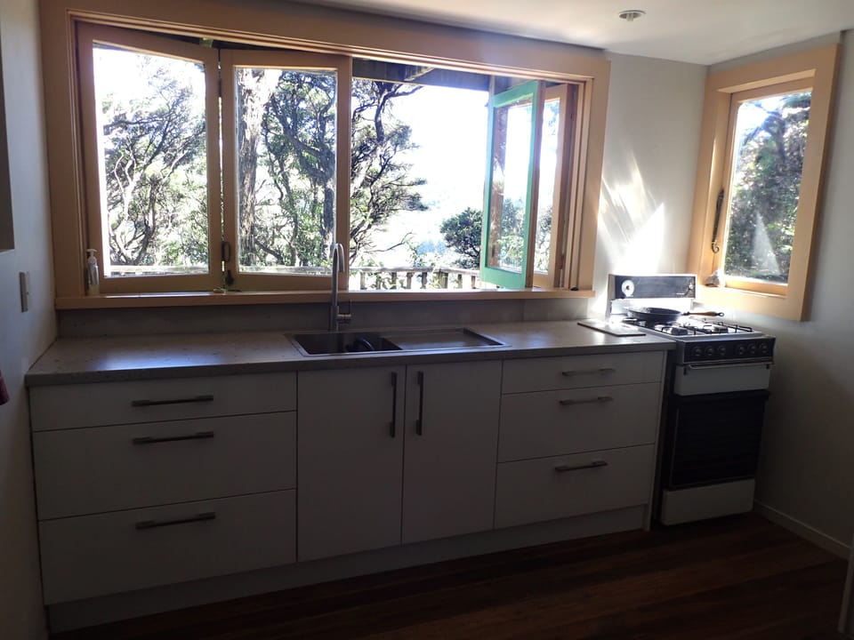 Fridge, oven, stovetop, electric kettle