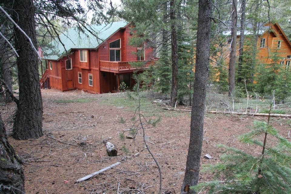 View of Backyard and Back of Our Cabin