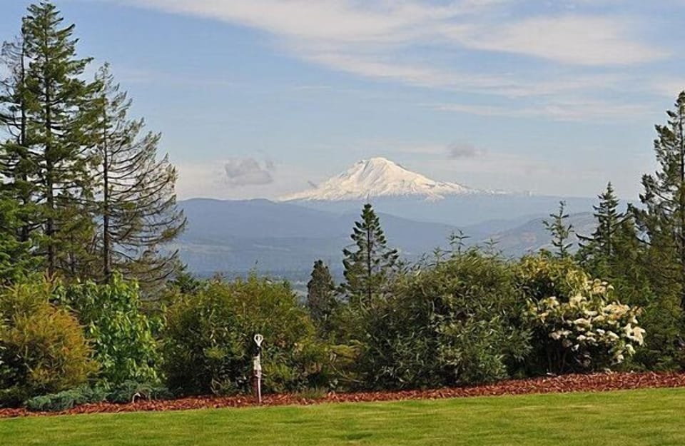 view from yard