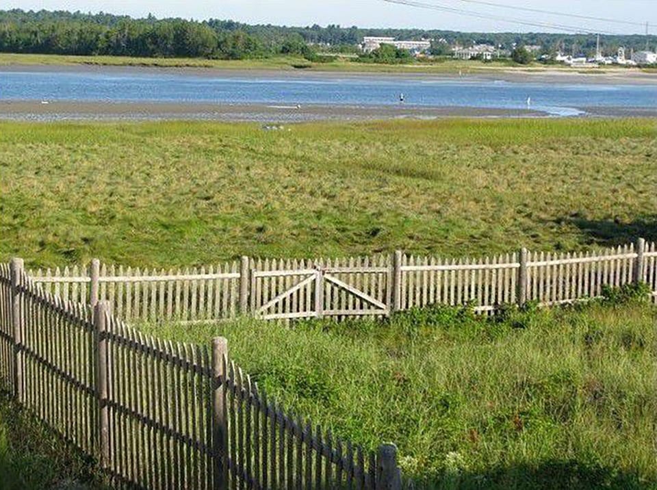 Marsh view at low tide