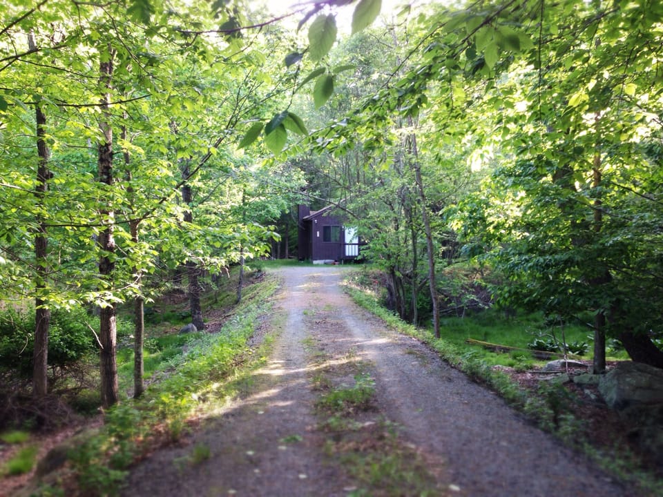 The driveway to the house. Spring and smmer is here!