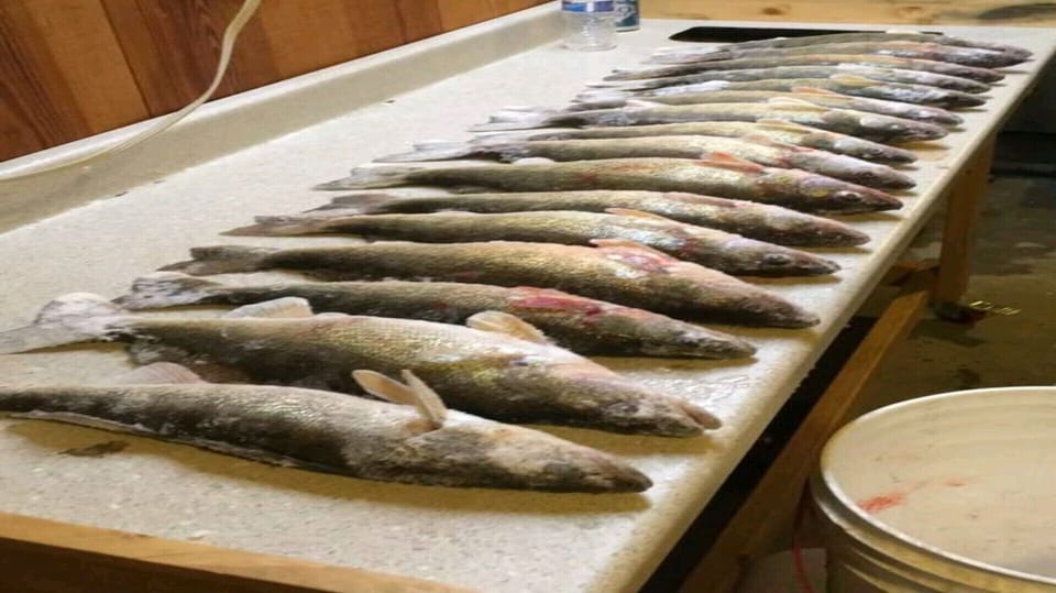 Fish cleaning station in 3 season porch! Does not come with the fish....
