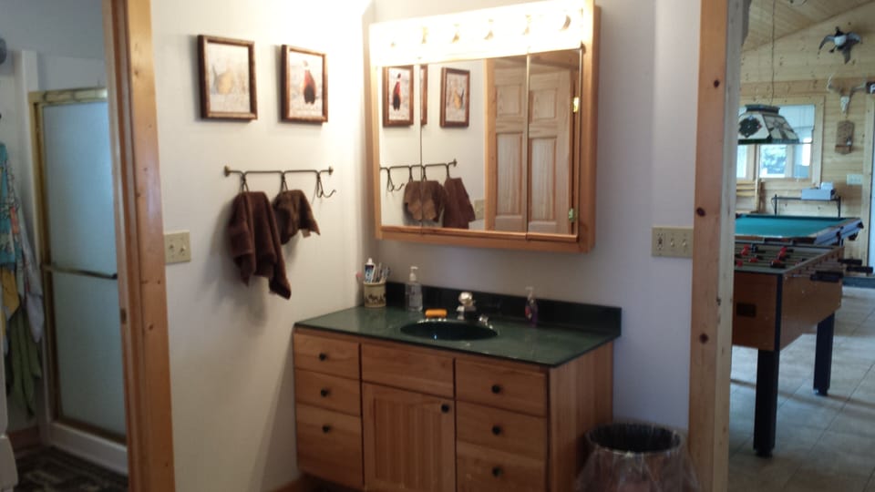 Toilet and shower in bath, additional toilet and sink in bath in great room
