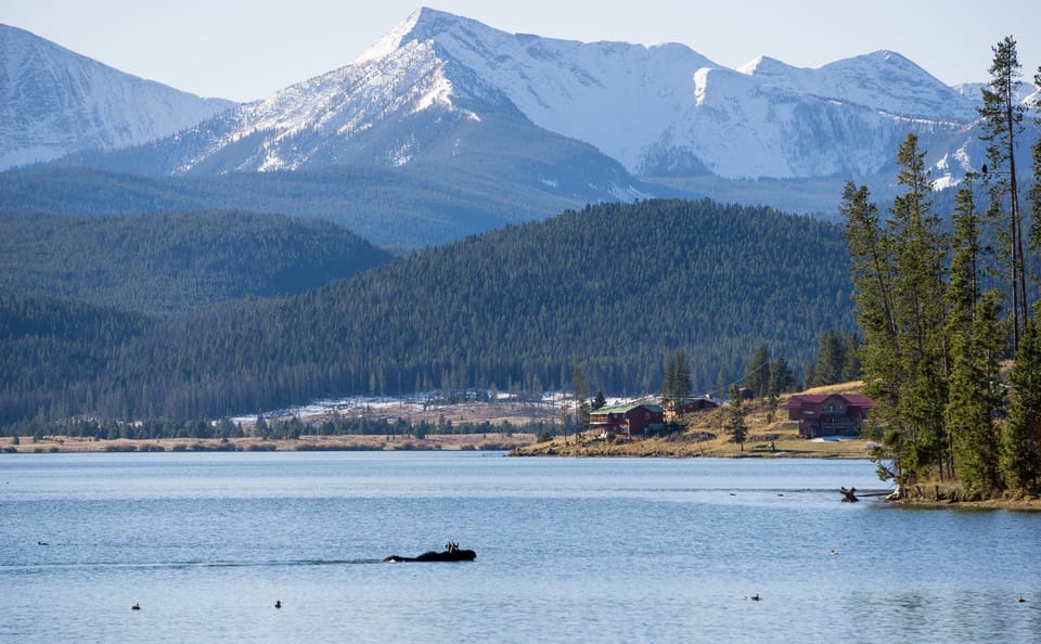 If you're lucky, you might even spot one of Georgetown's elusive swimming moose!