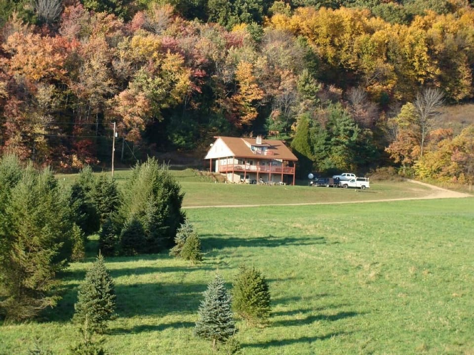 Blue Mountain Hideaway